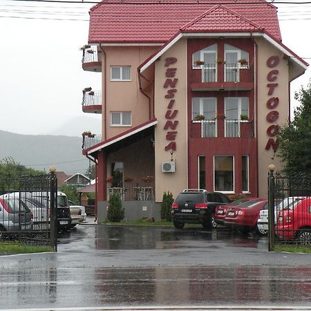 Pensiunea Octogon Пьятра-Нямц Экстерьер фото